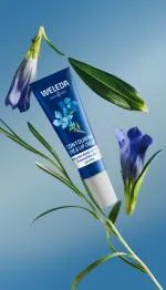 Weleda Crème liftante pour le contour des yeux et des lèvres Gentiane bleue et Pensée des Alpes