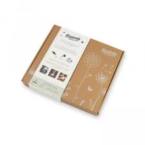 Blossombs Seed Bombs - Medium Gift Set (9 pcs) - cadeau original et pratique à la fois