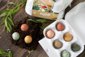 Seed Bombs - Egg Gift Box - Bouquet (6 pcs) - un cadeau original et pratique