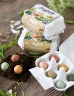 Blossombs Seed Bombs - Egg Gift Box - Bouquet (6 pcs) - un cadeau original et pratique