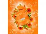 Ecoegg Oeuf de lavage pour 70 lavages parfum fleur d'oranger