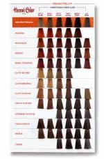 Henné Color Pansement teinté pour cheveux avec haute protection et soin Premium 100ml Bordeaux