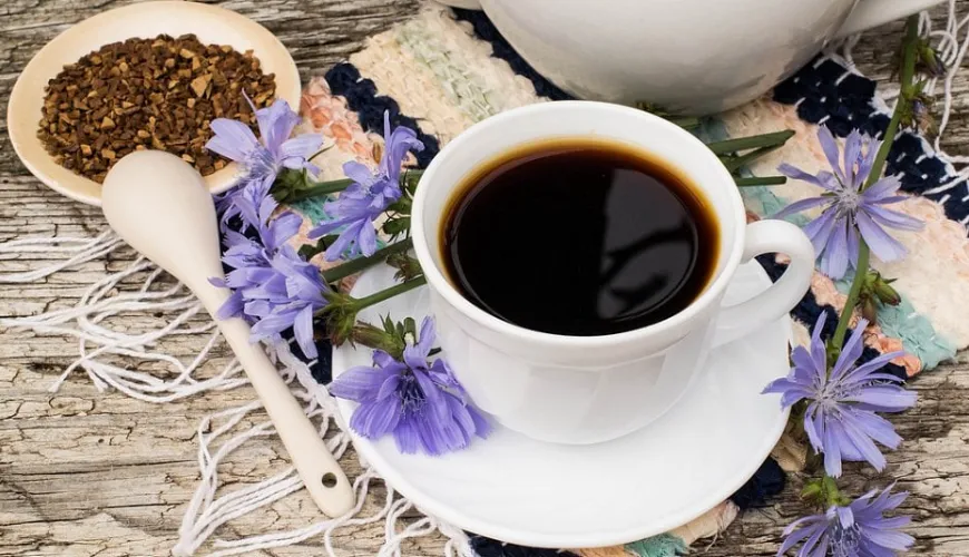 Effets du café de chicorée qui soutiendront votre santé