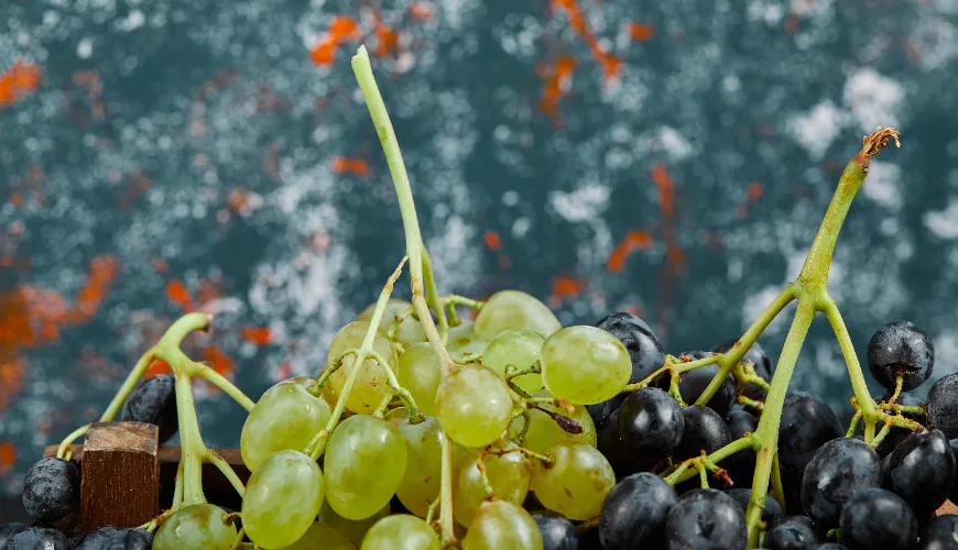 Ce que les femmes enceintes devraient savoir sur le raisin