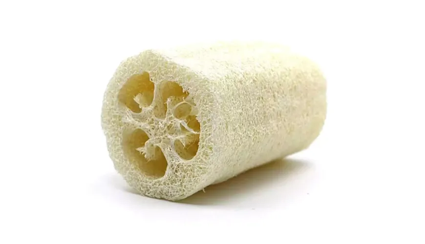 Éponge luffa pratique - alternative naturelle au plastique