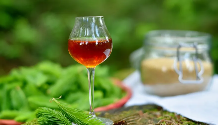 Sirop d'aiguilles de pin - découvrez la puissance de la forêt pour votre santé